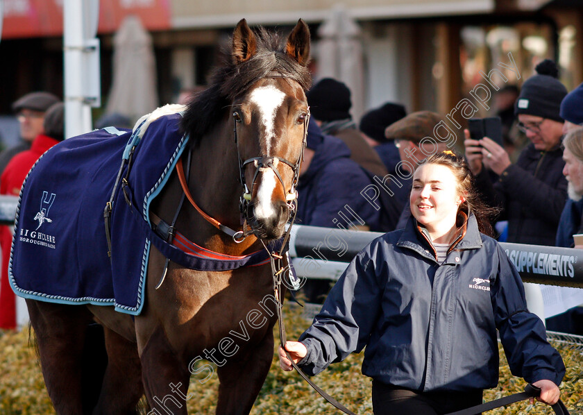 Coolnaugh-Haze-0005 
 COOLNAUGH HAZE
Warwick 9 Dec 2021 - Pic Steven Cargill / Racingfotos.com