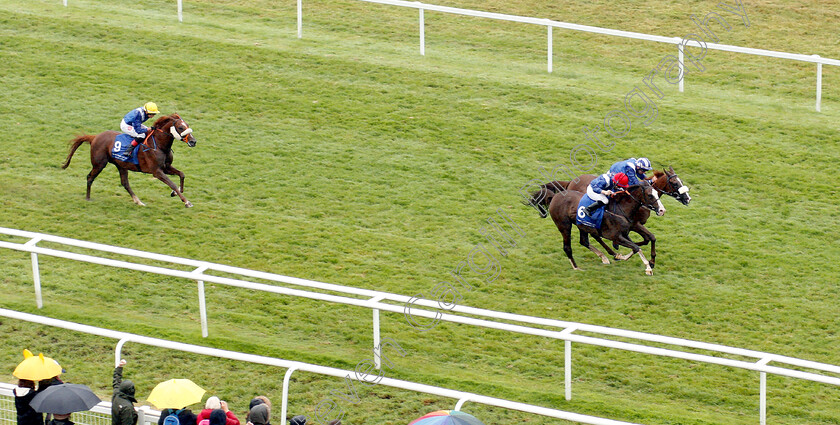 Saleemah-0002 
 SALEEMAH (nearside, Sam Hitchcott) beats HALIB DES FORGES (farside) in The Rotana Hotels And Resorts Premier Handicap
Newbury 29 Jul 2018 - Pic Steven Cargill / Racingfotos.com