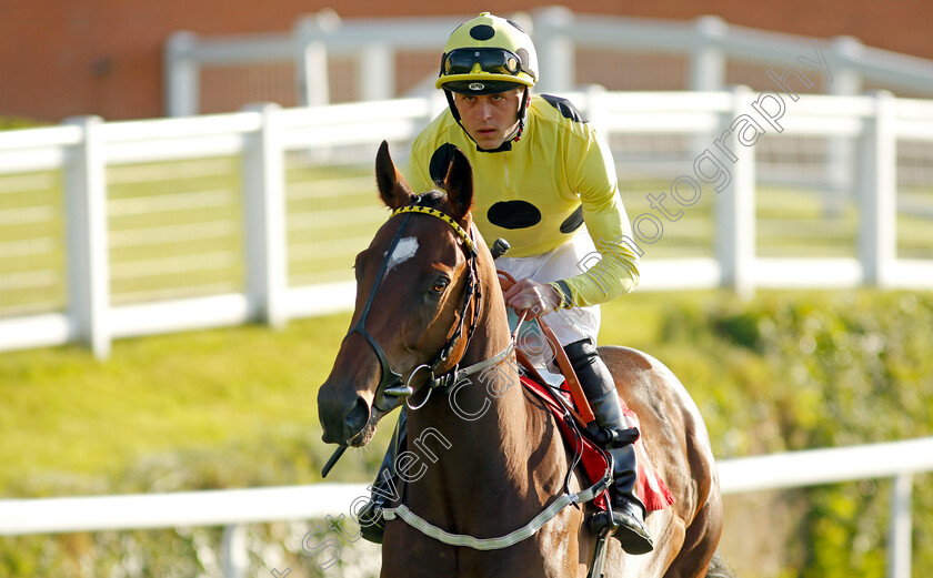 Elite-Status-0011 
 ELITE STATUS (Clifford Lee) winner of The Racehorse Lotto National Stakes
Sandown 25 May 2023 - Pic Steven Cargill / Racingfotos.com