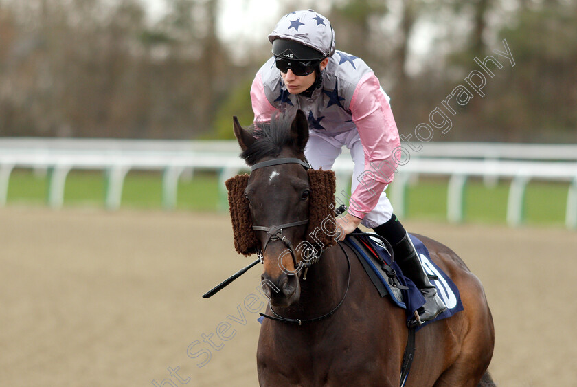 Music-Major-0001 
 MUSIC MAJOR (Luke Morris)
Lingfield 23 Mar 2019 - Pic Steven Cargill / Racingfotos.com