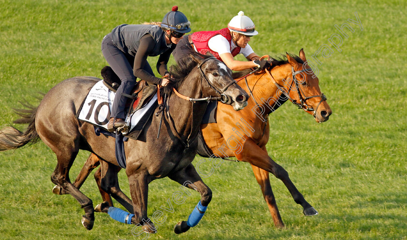 Frost-At-Dawn-and-Seven-Questions-0002 
 FROST AT DAWN (nearside) with SEVEN QUESTIONS (farside) training at the Dubai Racing Carnival 
Meydan 4 Jan 2024 - Pic Steven Cargill / Racingfotos.com