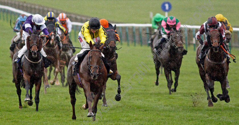 Rains-Of-Castamere-0002 
 RAINS OF CASTAMERE (Hollie Doyle) wins The Mansionbet Halloween Spooktacular Handicap
Newmarket 31 Oct 2020 - Pic Steven Cargill / Racingfotos.com