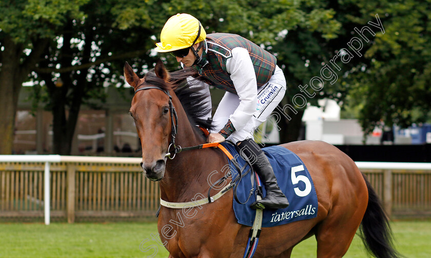 A-Lilac-Rolla-0001 
 A LILAC ROLLA (W J Lee)
Newmarket 12 Jul 2024 - Pic Steven Cargill / Racingfotos.com