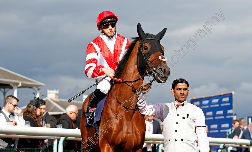 Sheikhzayedroad-0001 
 SHEIKHZAYEDROAD (Martin Harley) Doncaster 15 Sep 2017 - Pic Steven Cargill / Racingfotos.com