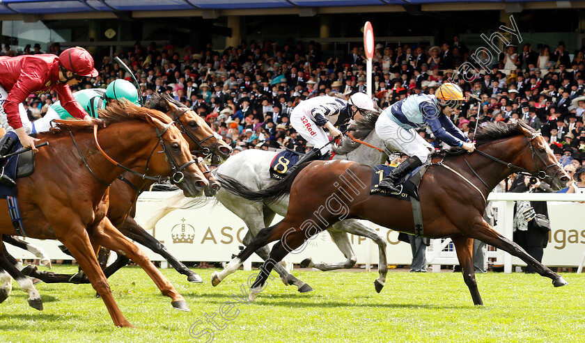 Accidental-Agent-0007 
 ACCIDENTAL AGENT (Charles Bishop) wins The Queen Anne Stakes
Royal Ascot 19 Jun 2018 - Pic Steven Cargill / Racingfotos.com