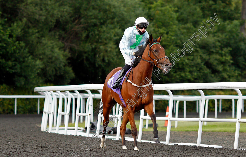 Miss-Zenlingus-0001 
 MISS ZENLINGUS (Charles Bishop)
Kempton 30 Jun 2021 - Pic Steven Cargill / Racingfotos.com