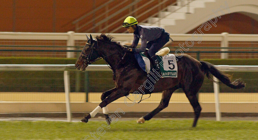 Shahryar-0001 
 SHAHRYAR training for the Sheema Classic
Meydan, Dubai, 23 Mar 2022 - Pic Steven Cargill / Racingfotos.com