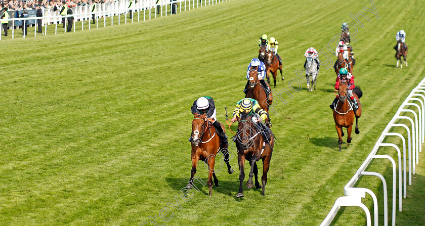 Midnights-Legacy-0002 
 MIDNIGHTS LEGACY (right, William Buick) beats HALIPHON (left) in The World Pool Northern Dancer Handicap
Epsom 4 Jun 2022 - Pic Steven Cargill / Racingfotos.com