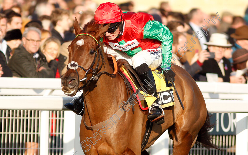 Quel-Destin-0007 
 QUEL DESTIN (Harry Cobden) wins The JCB Triumph Trial Juvenile Hurdle
Cheltenham 17 Nov 2018 - Pic Steven Cargill / Racingfotos.com