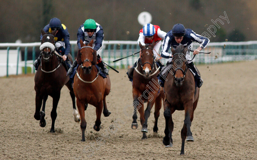 Kyllachy-Gala-0003 
 KYLLACHY GALA (Luke Morris) wins The Betway Handicap
Lingfield 2 Jan 2020 - Pic Steven Cargill / Racingfotos.com