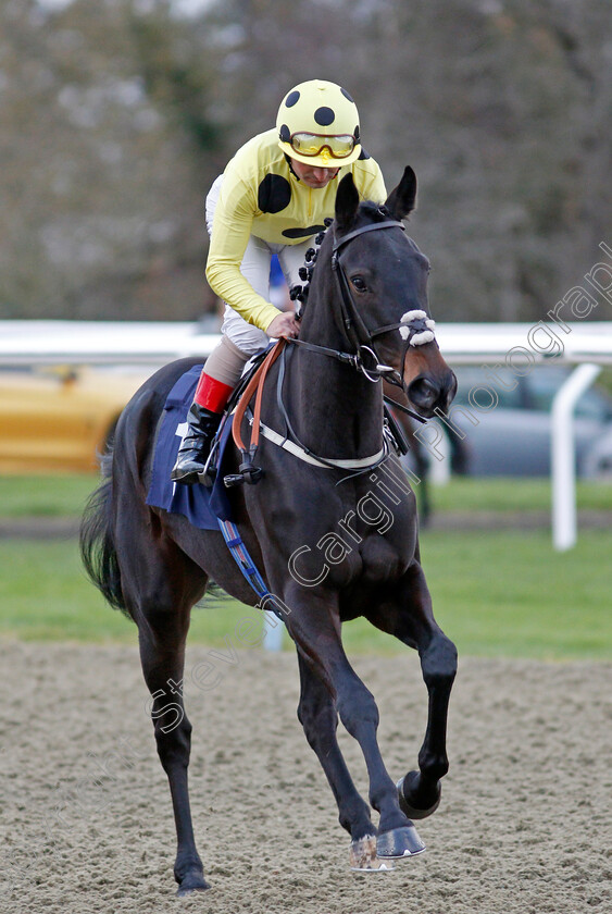 Angel s-Point 
 ANGEL'S POINT (Andrea Atzeni)
Lingfield 1 Dec 2021 - Pic Steven Cargill / Racingfotos.com