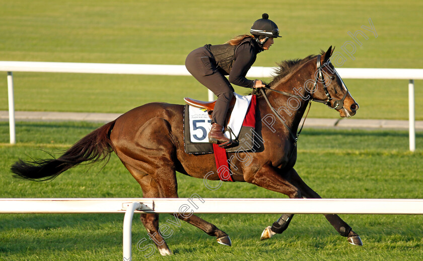 Onesmoothoperator-0001 
 ONESMOOTHOPERATOR training at the Dubai Racing Carnival
Meydan 22 Jan 2025 - Pic Steven Cargill / Racingfotos.com