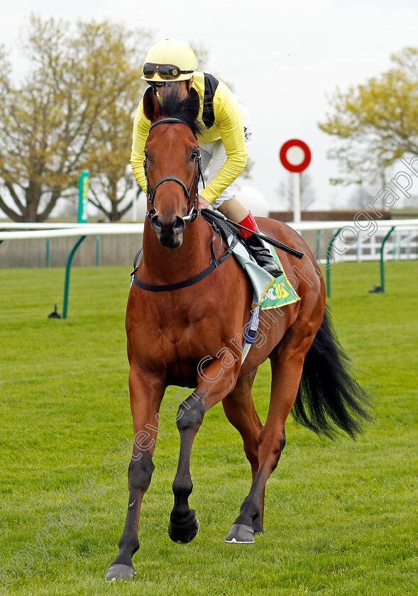 Mukeedd-0001 
 MUKEEDD (Andrea Atzeni)
Newmarket 18 Apr 2023 - Pic Steven Cargill / Racingfotos.com