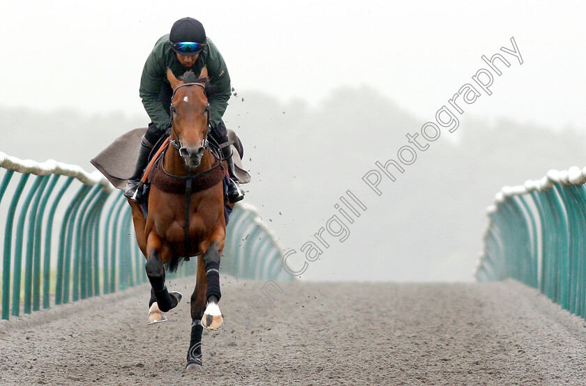 Knight-To-Behold-0006 
 KNIGHT TO BEHOLD, ridden by Mohammed Abdul Qazafi Mirza, on the gallops in preparation for The investec Derby
Lambourn 31 May 2018 - Pic Steven Cargill / Racingfotos.com