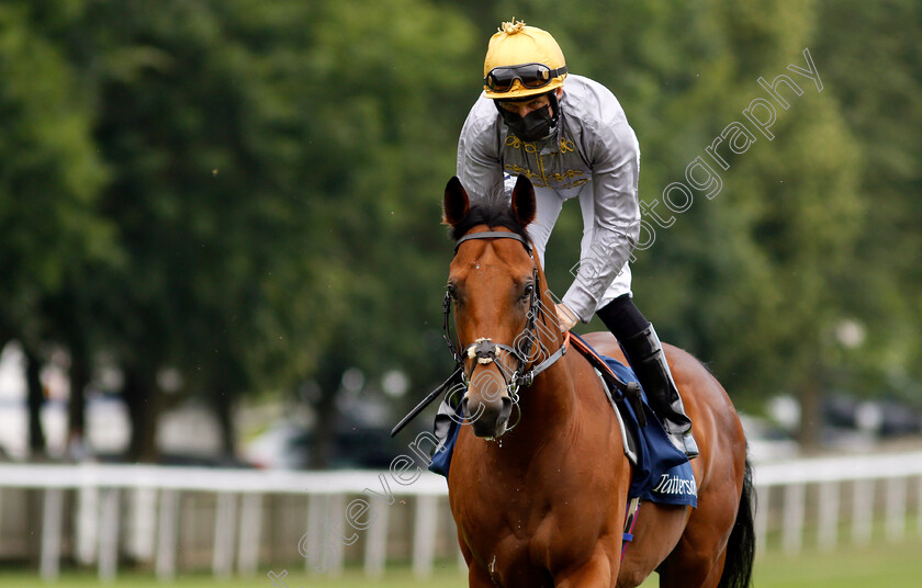 Lusail-0004 
 LUSAIL (Pat Dobbs) winner of The Tattersalls July Stakes
Newmarket 8 Jul 2021 - Pic Steven Cargill / Racingfotos.com