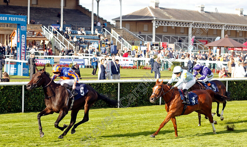 Whirl-0002 
 WHIRL (Ryan Moore) wins The Coopers Marquees EBF Maiden Fillies Stakes
Doncaster 13 Sep 2024 - Pic Steven Cargill / Racingfotos.com