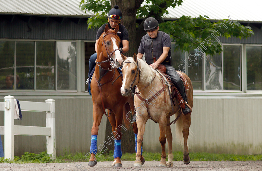 Justify-0001 
 JUSTIFY (Martine Garcia) exercising in preparation for The Belmont Stakes
Belmont Park USA 7 Jun 2018 - Pic Steven Cargill / Racingfotos.com