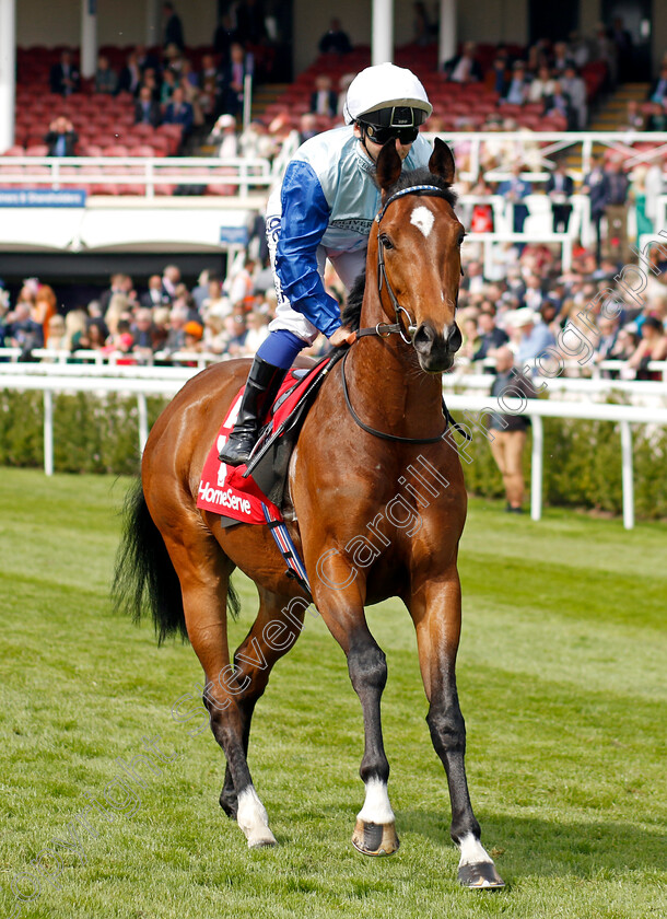 Sonny-Liston-0001 
 SONNY LISTON (Marco Ghiani)
Chester 5 May 2022 - Pic Steven Cargill / Racingfotos.com