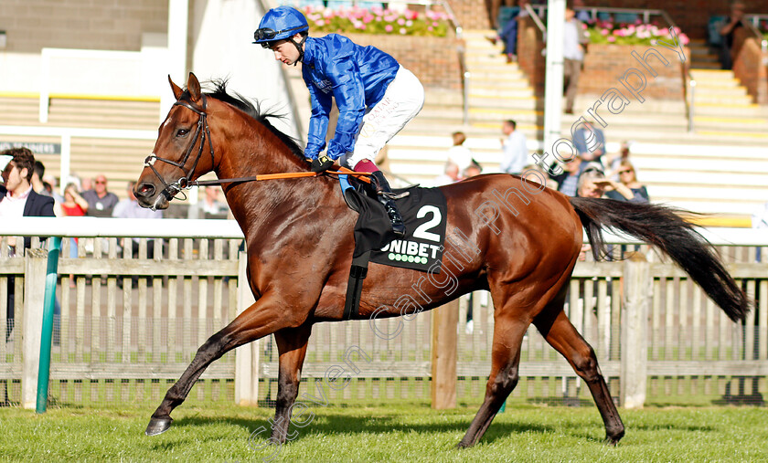 Benbatl-0001 
 BENBATL (Oisin Murphy) winner of The Unibet Joel Stakes
Newmarket 24 Sep 2021 - Pic Steven Cargill / Racingfotos.com