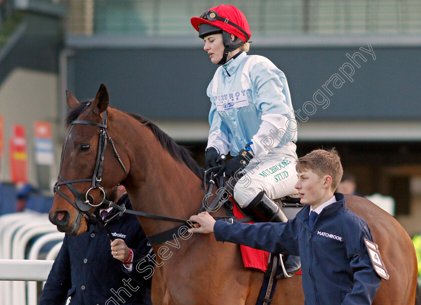 Marracudja-0001 
 MARRACUDJA (Bridget Andrews)
Ascot 18 Jan 2020 - Pic Steven Cargill / Racingfotos.com