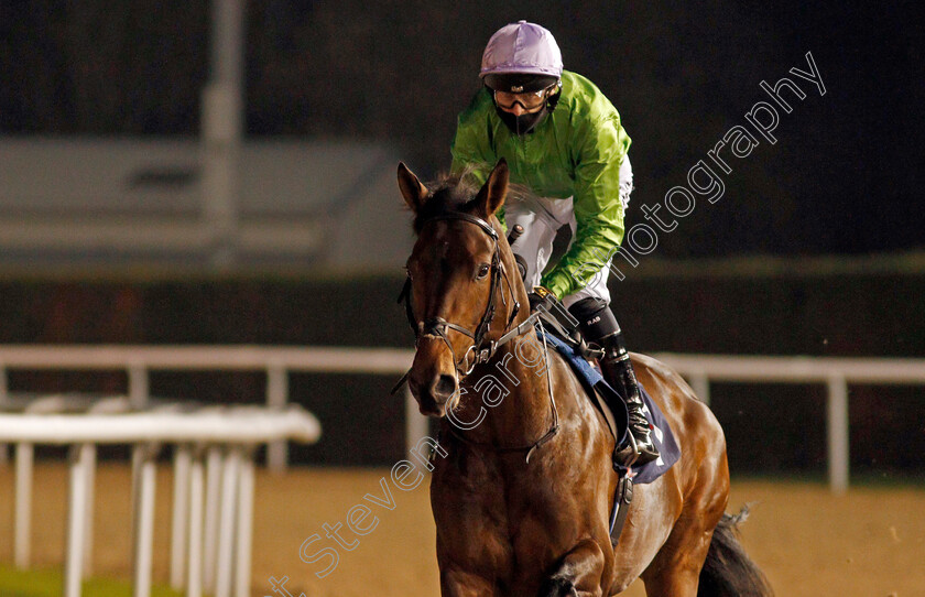 Uncle-Bryn-0001 
 UNCLE BRYN (Robert Havlin) winner of The Ladbrokes Watch Racing Online For Free EBF Novice Stakes
Wolverhampton 24 Nov 2020 - Pic Steven Cargill / Racingfotos.com