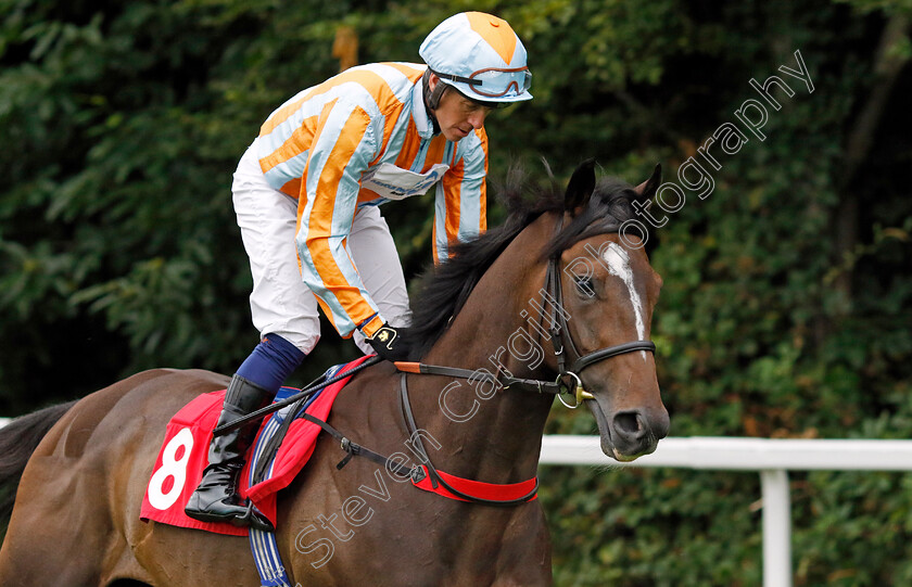 Royal-Blaze-0001 
 ROYAL BLAZE (Jim Crowley)
Sandown 8 Aug 2024 - Pic Steven Cargill / Racingfotos.com