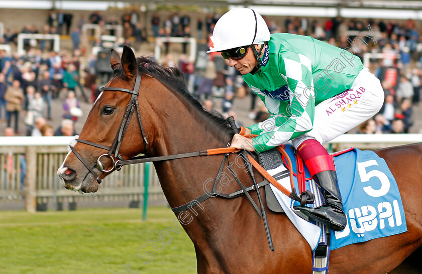 Dark-Rose-Angel-0001 
 DARK ROSE ANGEL (Frankie Dettori) Newmarket 13 Oct 2017 - Pic Steven Cargill / Racingfotos.com