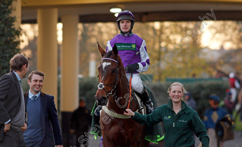 Nestor-Park-0005 
 NESTOR PARK (David Bass) after The Elite AV Standard Open National Hunt Flat Race Ascot 25 Nov 2017 - Pic Steven Cargill / Racingfotos.com