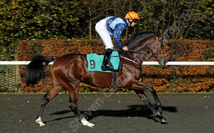 Accidental-Agent-0001 
 ACCIDENTAL AGENT (Charles Bishop) Kempton 22 Nov 2017 - Pic Steven Cargill / Racingfotos.com