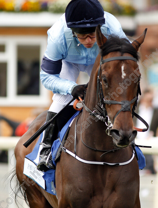 Luxor-0001 
 LUXOR (Kerrin McEvoy)
York 15 Jun 2019 - Pic Steven Cargill / Racingfotos.com