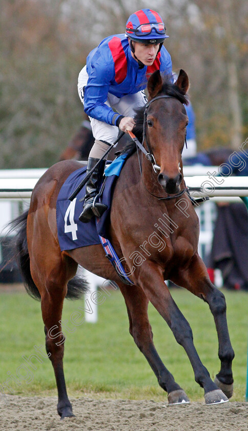 Equal-Share-0002 
 EQUAL SHARE (Richard Kingscote) winner of The Coral Proud To Support British Racing EBF Fillies Novice Stakes Div1
Lingfield 1 Dec 2021 - Pic Steven Cargill / Racingfotos.com