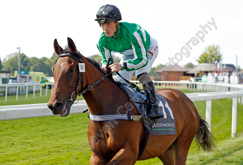 Stoneacre-Girl-0001 
 STONEACRE GIRL (Rowan Scott)
York 16 Jun 2023 - Pic Steven Cargill / Racingfotos.com