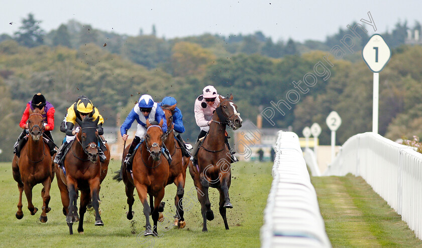 Bless-Him-0001 
 BLESS HIM (2nd left, Jamie Spencer) beats LORD NORTH (2nd right) as CHIEFOFCHIEFS (James Doyle) takes evasive action in The Lexicon Bracknell Handicap
Ascot 6 Sep 2019 - Pic Steven Cargill / Racingfotos.com