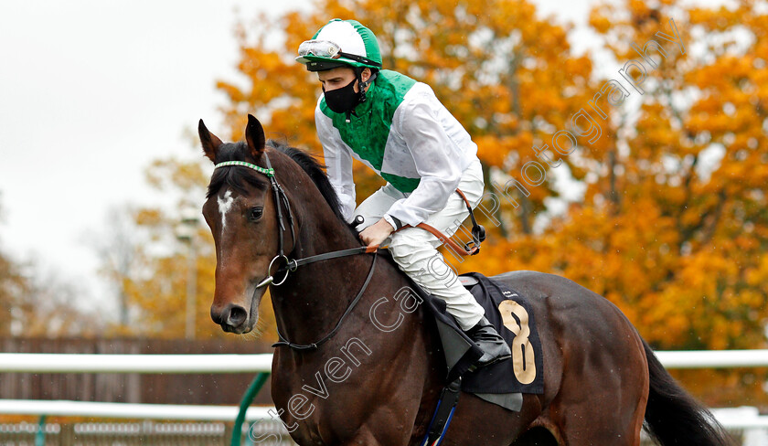 The-Attorney-0002 
 THE ATTORNEY (William Buick)
Newmarket 21 Oct 2020 - Pic Steven Cargill / Racingfotos.com