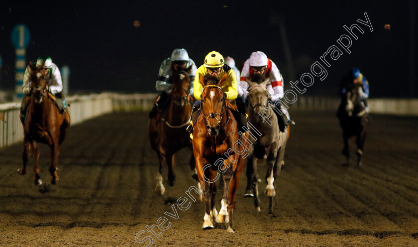 Immortal-Knight-0001 
 IMMORTAL KNIGHT (Raul Da Silva) wins The Unibet More Boosts In More Races EBF Novice Stakes Div2
Kempton 6 Dec 2023 - Pic Steven Cargill / Racingfotos.com