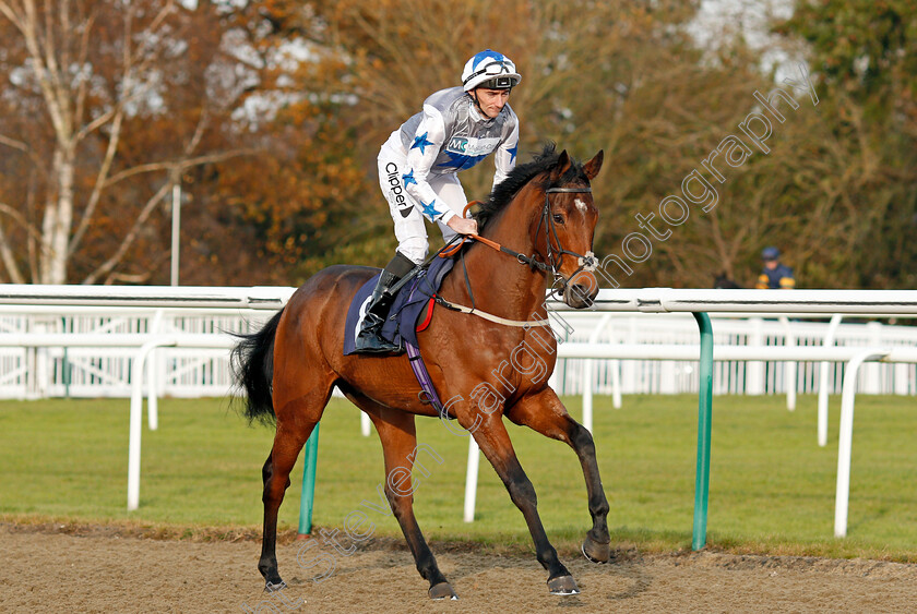 Fayez-0001 
 FAYEZ (Daniel Tudhope) winner of The Betway Handicap Lingfield 21 Nov 2017 - Pic Steven Cargill / Racingfotos.com