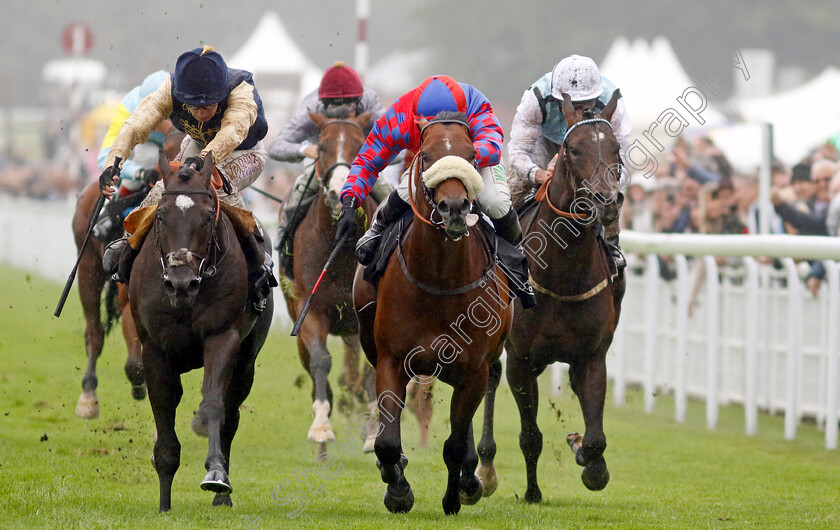 Big-Evs-0002 
 BIG EVS (centre, Jason Hart) beats PUROSANGUE (left) in the Jaeger-Lecoultre Molecomb Stakes
Goodwood 2 Aug 2023 - Pic Steven Cargill / Racingfotos.com