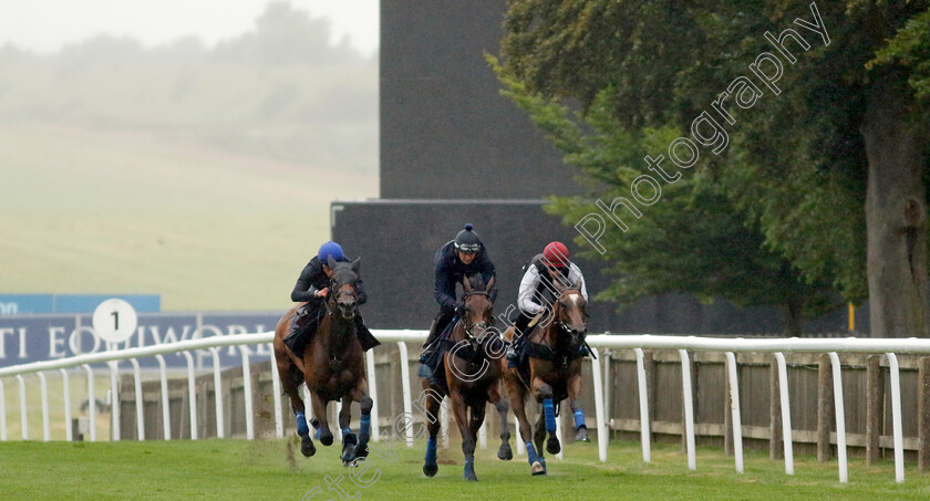 Emily-Upjohn-0007 
 EMILY UPJOHN (left, William Buick) in racecourse gallop with MIMIKYU (centre) and SOUL SISTER (right)
Newmarket 1 Jul 2023 - Pic Steven Cargill / Racingfotos.com