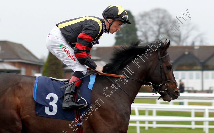 Global-Freedom-0001 
 GLOBAL FREEDOM (Shane Kelly)
Lingfield 20 Nov 2018 - Pic Steven Cargill / Racingfotos.com