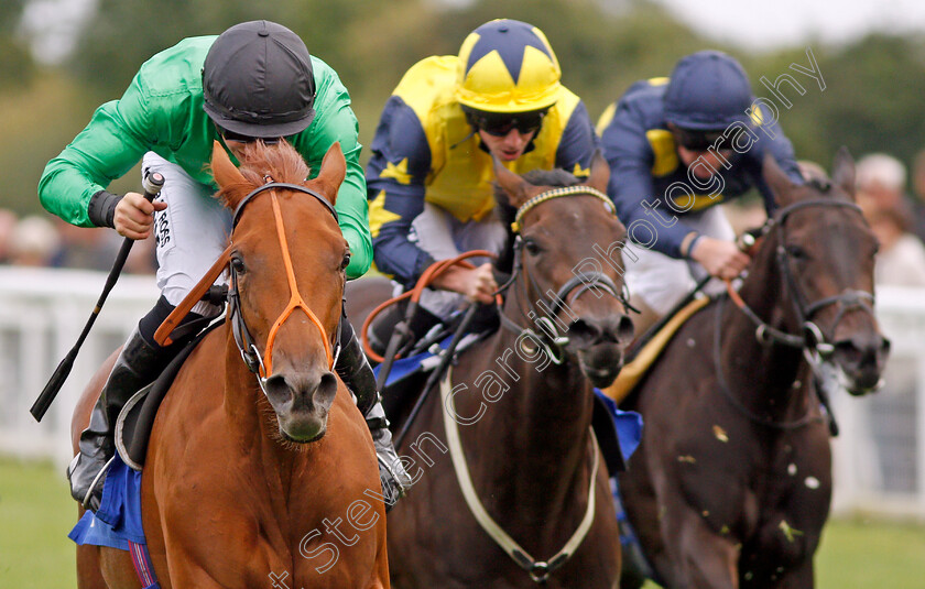 Anna-Nerium-0005 
 ANNA NERIUM (Tom Marquand) wins The Bathwick Tyres Dick Poole Fillies Stakes Salisbury 7 Sep 2017 - Pic Steven Cargill / Racingfotos.com