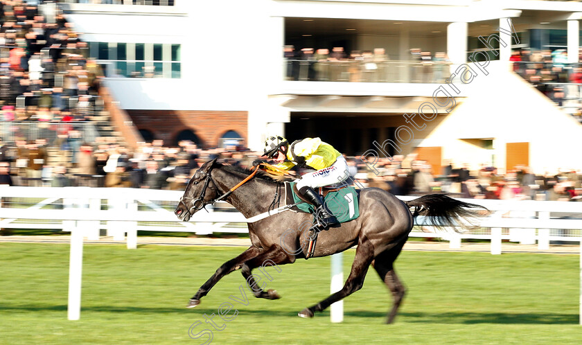 Elixir-De-Nutz-0003 
 ELIXIR DE NUTZ (Harry Cobden) wins The British Stallion Studs EBF National Hunt Novices Hurdle
Cheltenham 14 Dec 2018 - Pic Steven Cargill / Racingfotos.com