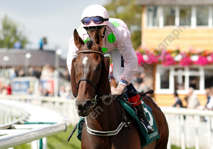 Max-Dynamite-0001 
 MAX DYNAMITE (David Egan)
York 24 Aug 2018 - Pic Steven Cargill / Racingfotos.com