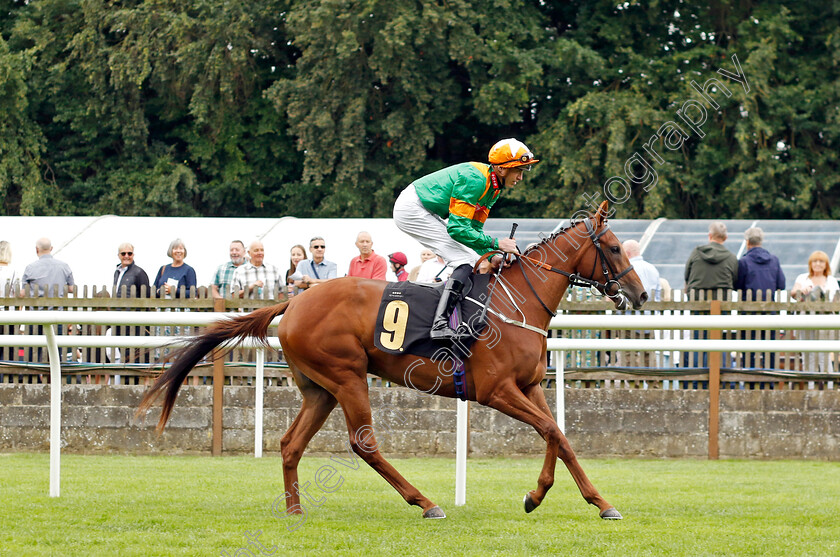 What-A-Question-0001 
 WHAT A QUESTION (James Doyle)
Newmarket 1 Jul 2023 - Pic Steven Cargill / Racingfotos.com