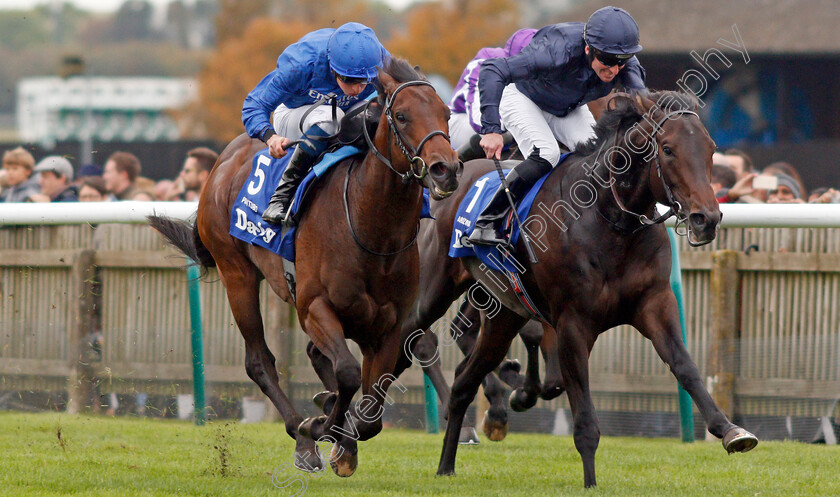 Pinatubo-0005 
 PINATUBO (left, William Buick) beats ARIZONA (right) in The Darley Dewhurst Stakes
Newmarket 12 Oct 2019 - Pic Steven Cargill / Racingfotos.com