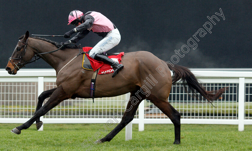 Blue-Flight-0005 
 BLUE FLIGHT (Zac Baker) wins The Matchbook Amateur Riders Handicap Chase
Ascot 19 Jan 2019 - Pic Steven Cargill / Racingfotos.com