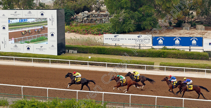 Ode-To-Autumn-0006 
 ODE TO AUTUMN (Pat Cosgrave) wins The Shadwell Handicap
Jebel Ali 24 Jan 2020 - Pic Steven Cargill / Racingfotos.com