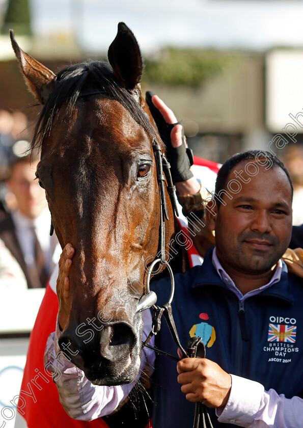 Kind-Of-Blue-0012 
 KIND OF BLUE winner of The Qipco British Champions Sprint Stakes
Ascot 19 Oct 2024 - Pic Steven Cargill / Racingfotos.com