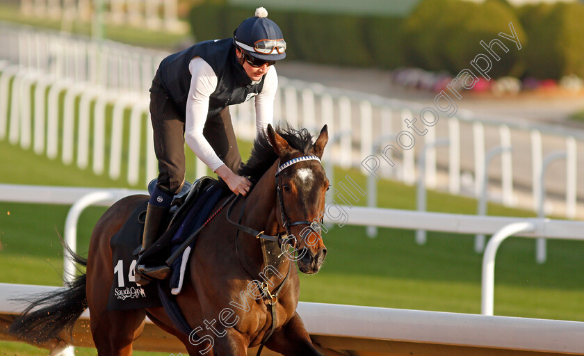 Oscula-0001 
 OSCULA training for the Saudi Derby 
King Abdulaziz Racetrack, Riyadh, Saudi Arabia 24 Feb 2022 - Pic Steven Cargill / Racingfotos.com