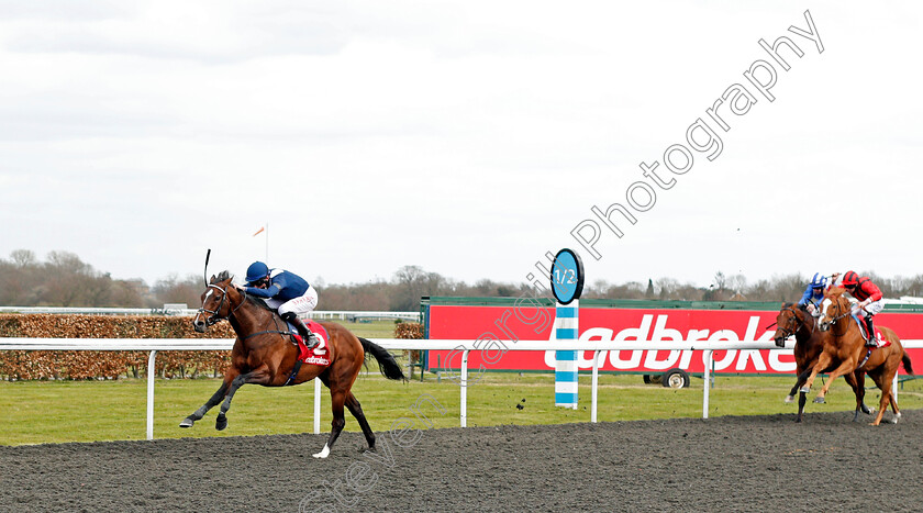 Global-Giant-0004 
 GLOBAL GIANT (Robert Havlin) wins The Ladbrokes Magnolia Stakes 
Kempton 27 mar 2021 - Pic Steven Cargill / Racingfotos.com