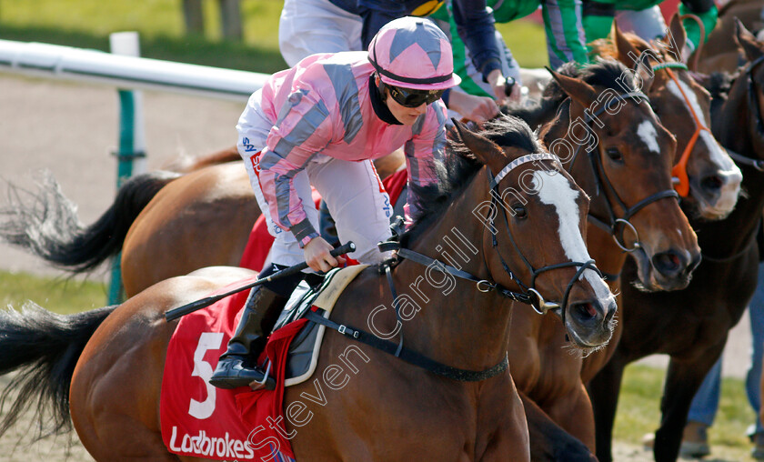 Pholas-0006 
 PHOLAS (Hollie Doyle) wins The Ladbrokes All-Weather Fillies and Mares Championships Conditions Stakes
Lingfield 2 Apr 2021 - Pic Steven Cargill / Racingfotos.com